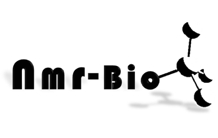 NMR-Bio : repousser les frontières de la RMN pour visualiser les protéines de grande taille