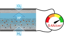 "Imaging" molecules in a bio-inspired nanocomposite material for hydrogen fuel cells