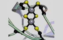 Détermination de la valence des atomes métalliques de sites actifs protéiques par cristallographie aux rayons X