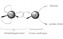 Chiralité-au-métal et catalyse asymétrique